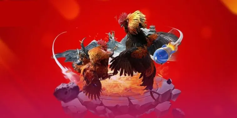 Đá Gà VNBet77 Hấp Dẫn Thu Hút Mọi Cược Thủ Tham Gia Giải Trí