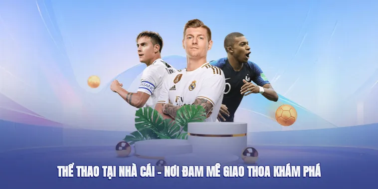 Thể Thao VNBet77 Khám Phá Thế Giới Cá Cược Đỉnh Cao Tại Việt Nam